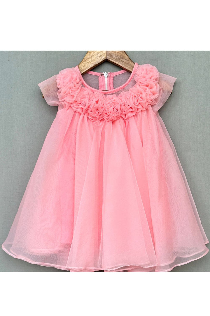Pink Rosy Floral Embellished Whirl A-Line Dress