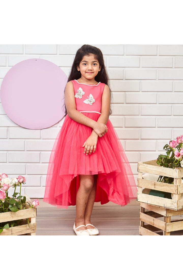 Pink And Golden Butterfly Embroidered High Low Net Dress