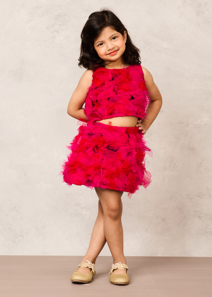 Pink Fluffy Net Ruffle A Line Tulle Dress