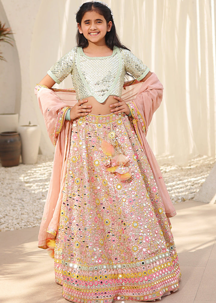 Peach Embroidered Georgette Lehenga Choli with Dupatta Set