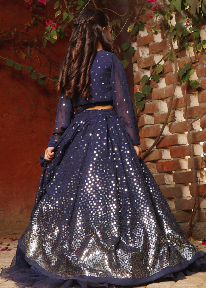 Blue Embroidered Georgette Lehenga Choli Set