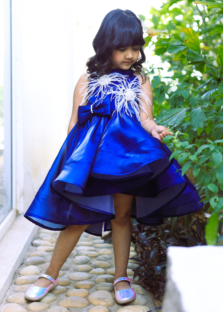 Blue Ostrich Feather Detailing High Low Dress