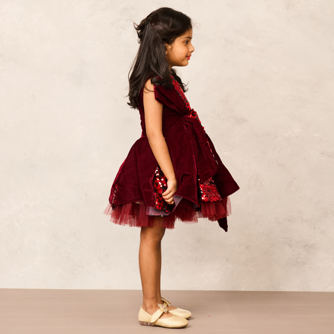 Maroon Velvet Handcrafted Sequence Net Dress