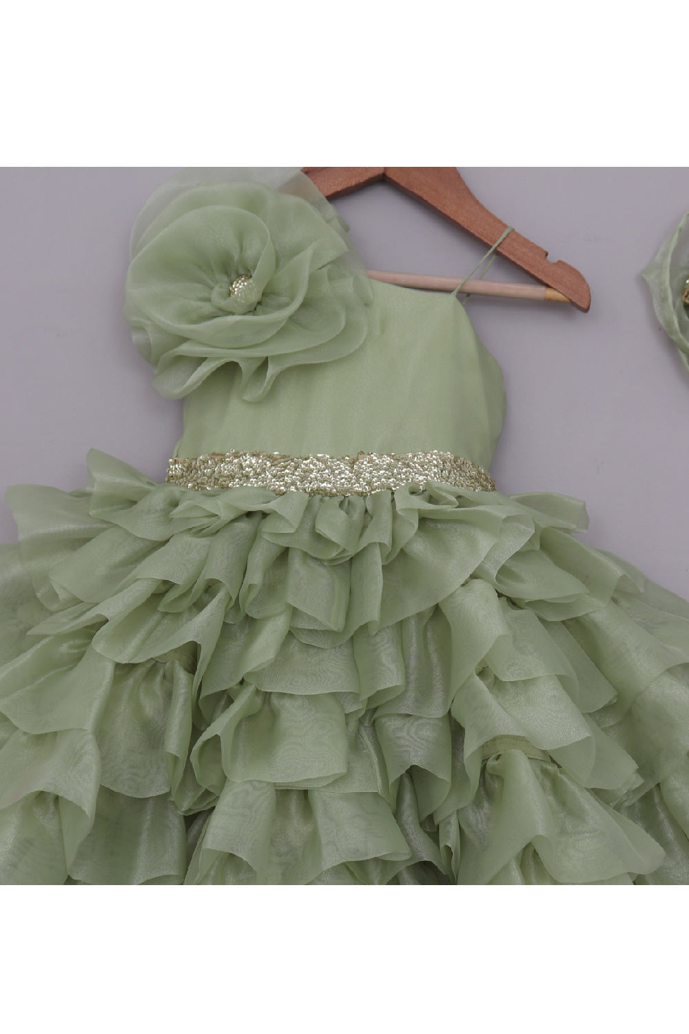 Sage Green With Golden Sequins Detailing Organza Layered Dress