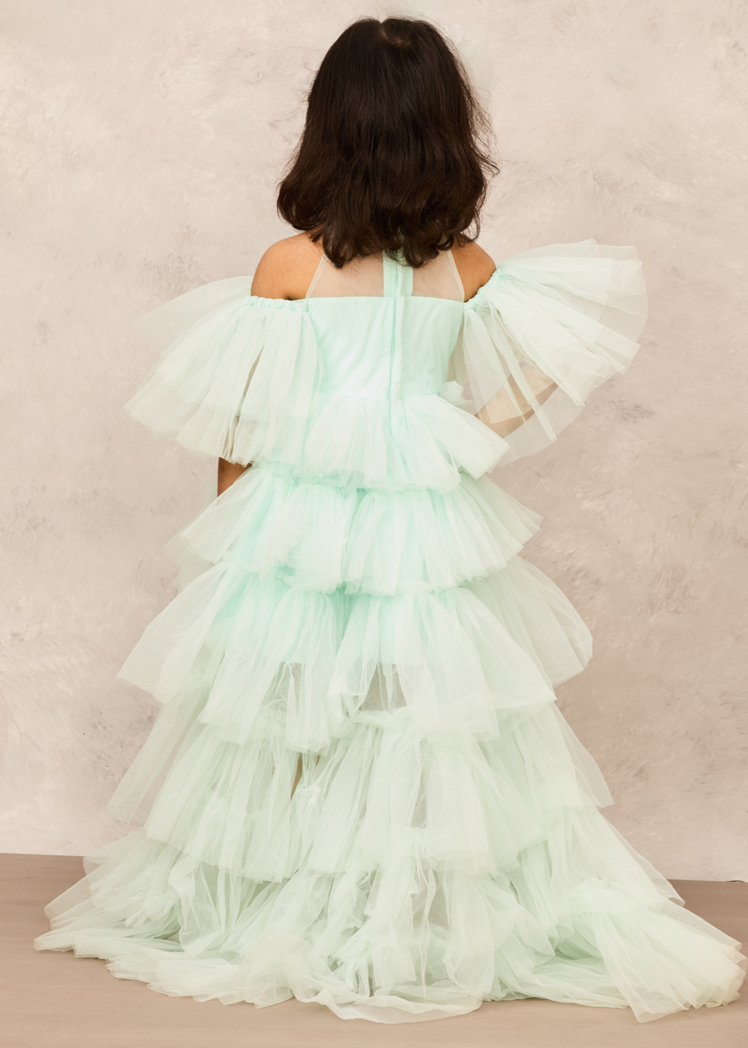 Aqua Blue With Butterfly Embellishment High Low Net Gown