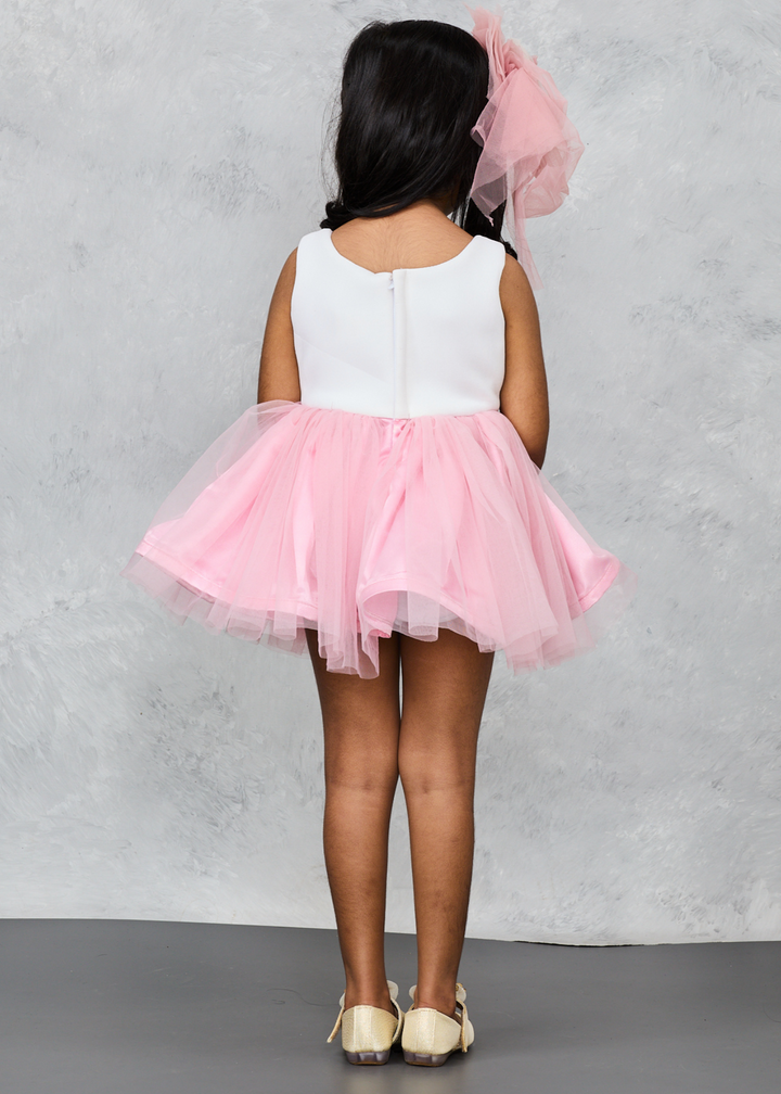 Old Rose Floral Hand Embroidery Pastel Dress