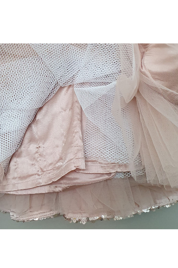Rose Gold Sequins And Floral Embroidered Net Dress