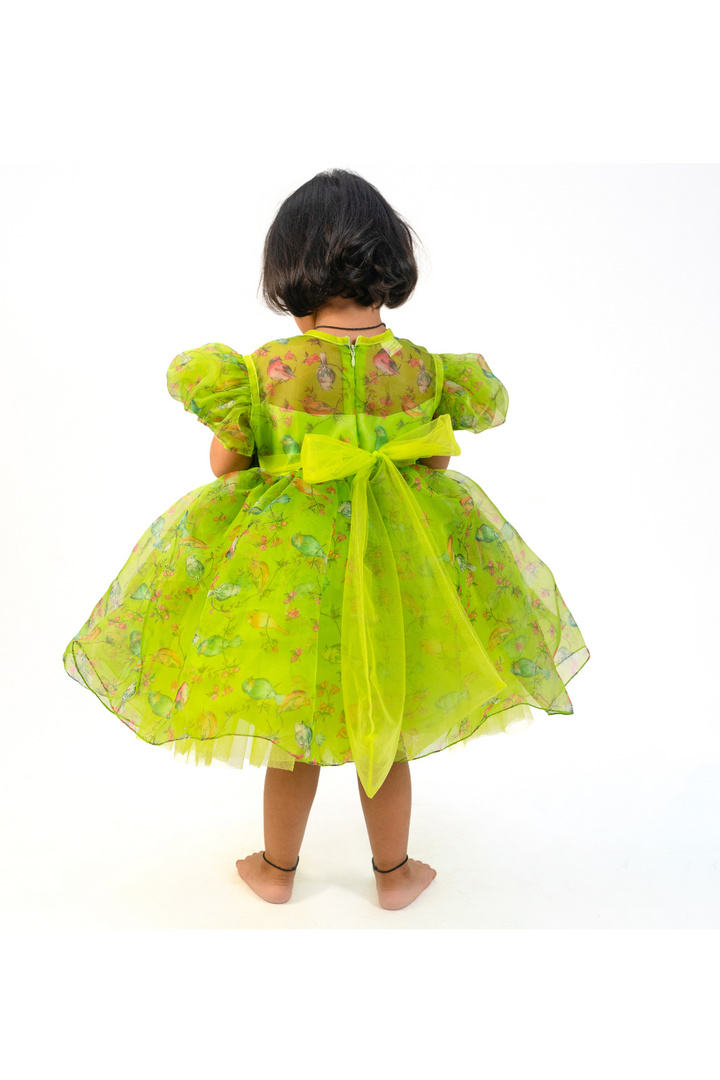 Green Bird Organza Printed Front Flowered Design Style Dress