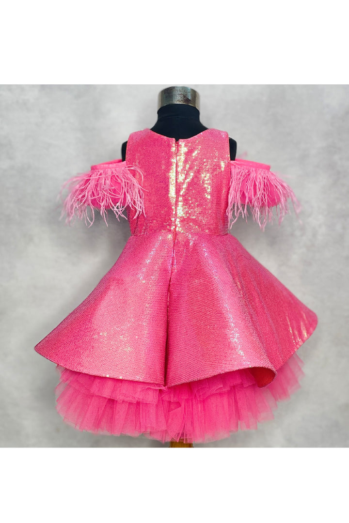 Pink Sequined With Feather Detailing Net Dress