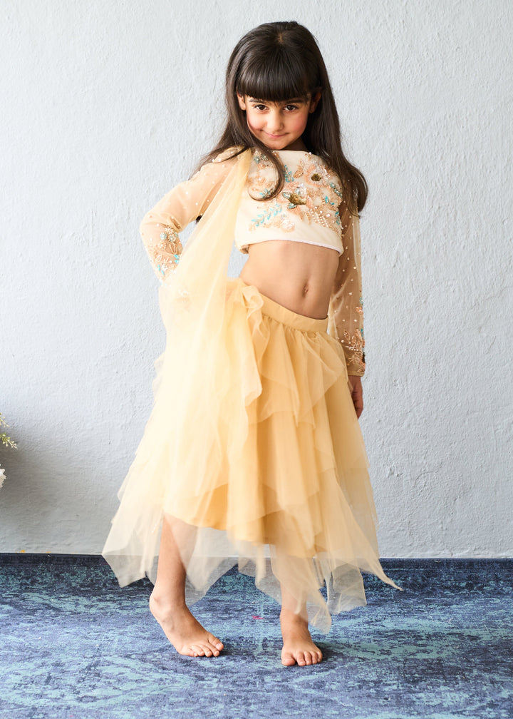 Cream Gold Embroidered Crop Top With Net Layered Skirt Set