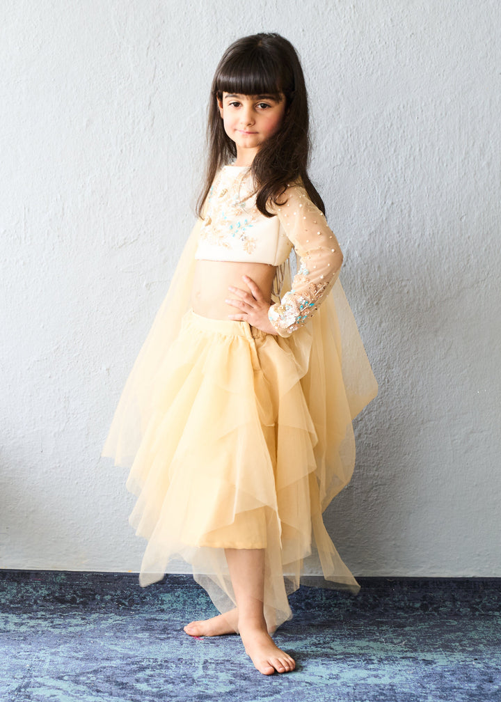 Cream Gold Embroidered Crop Top With Net Layered Skirt Set