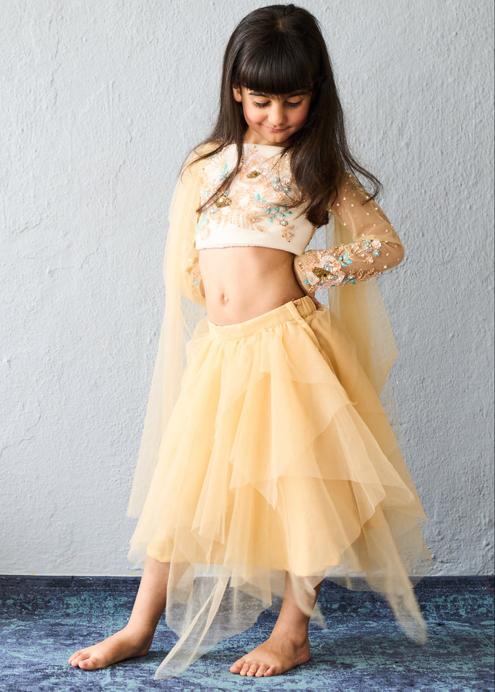 Cream Gold Embroidered Crop Top With Net Layered Skirt Set