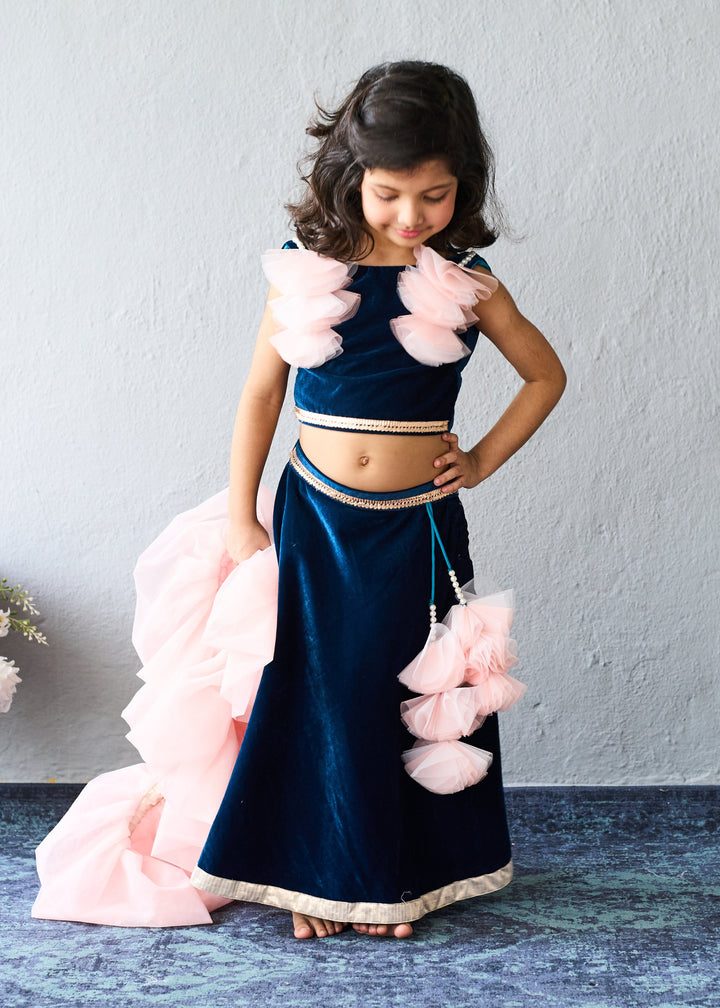 Navy Blue Velvet Embellished Ghagra Choli With Pink Dupatta Set