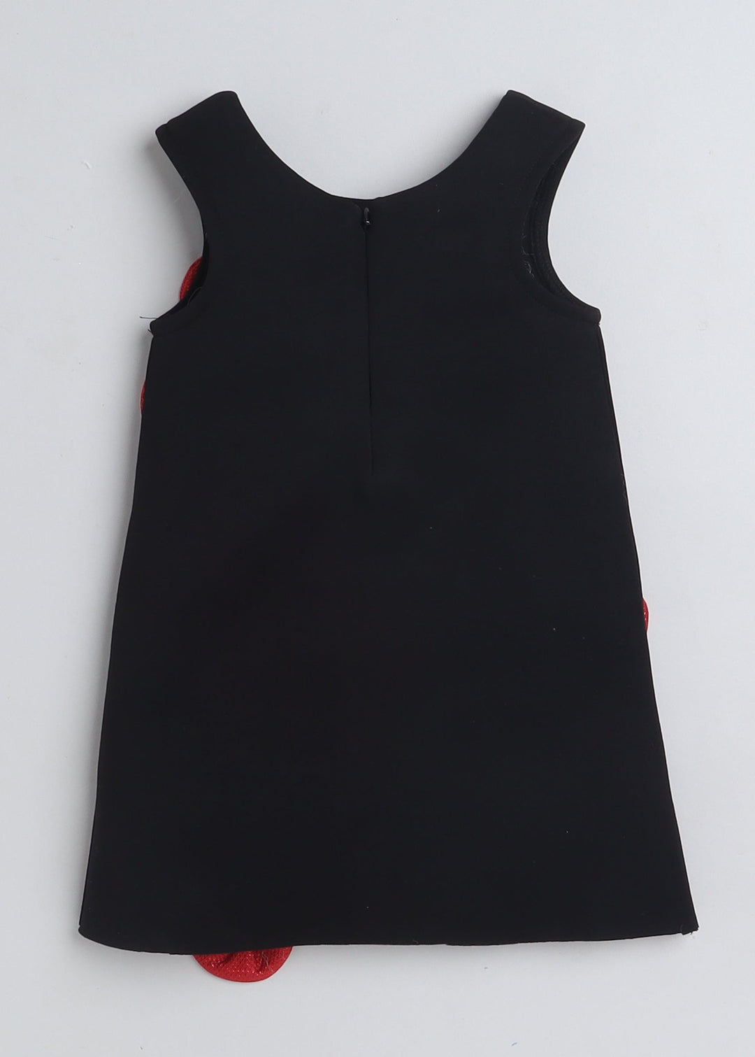 Black Sleeveless Floral Applique Embellished Knee Length Dress