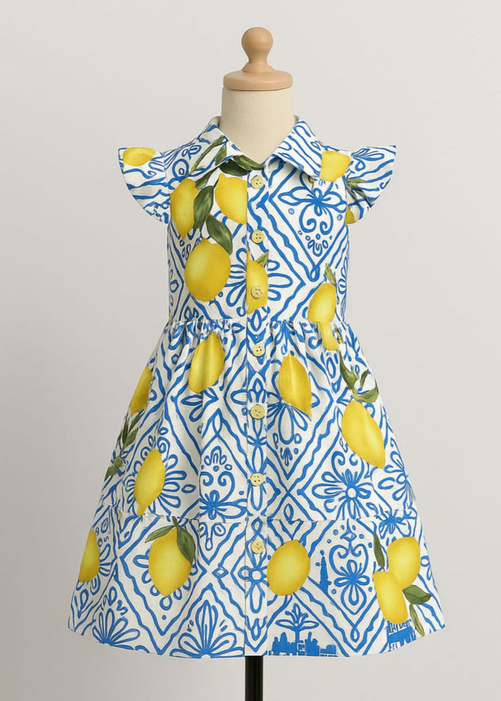 Lemon Tie Cotton Printed Summer Frock