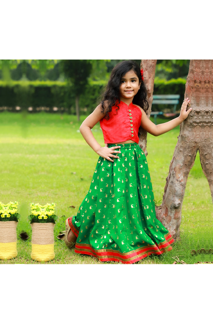 Red top with green dolphin printed ghaghra