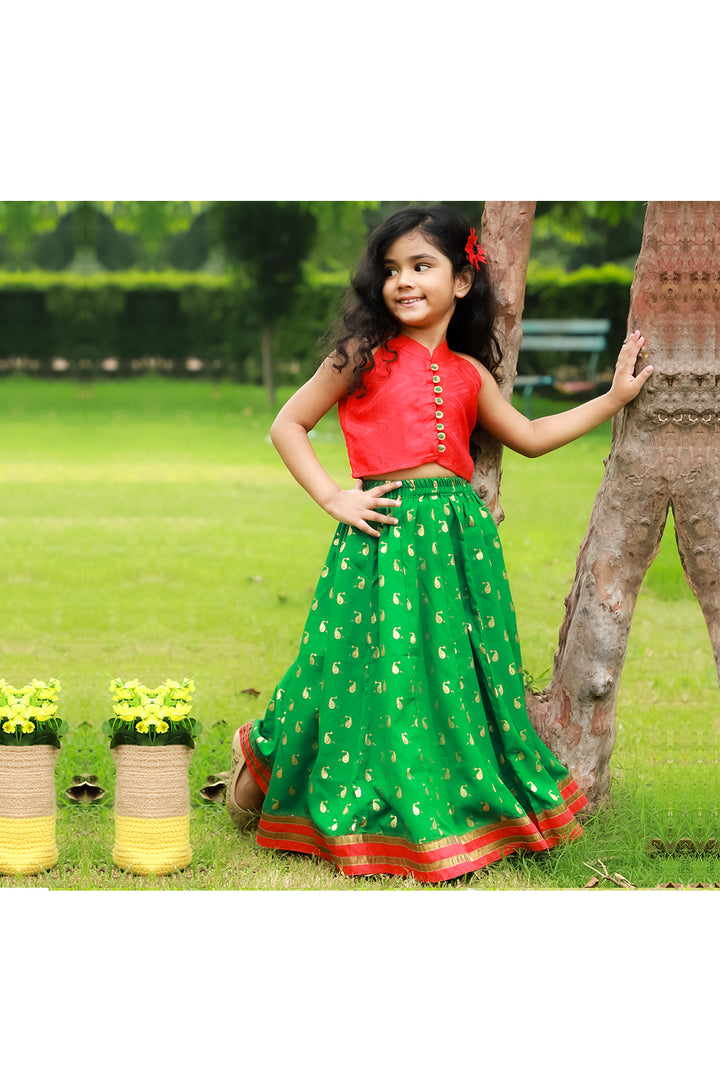 Red top with green dolphin printed ghaghra