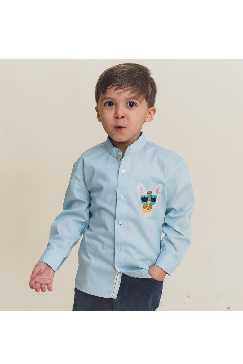 Dog embroidery patch blue shirt