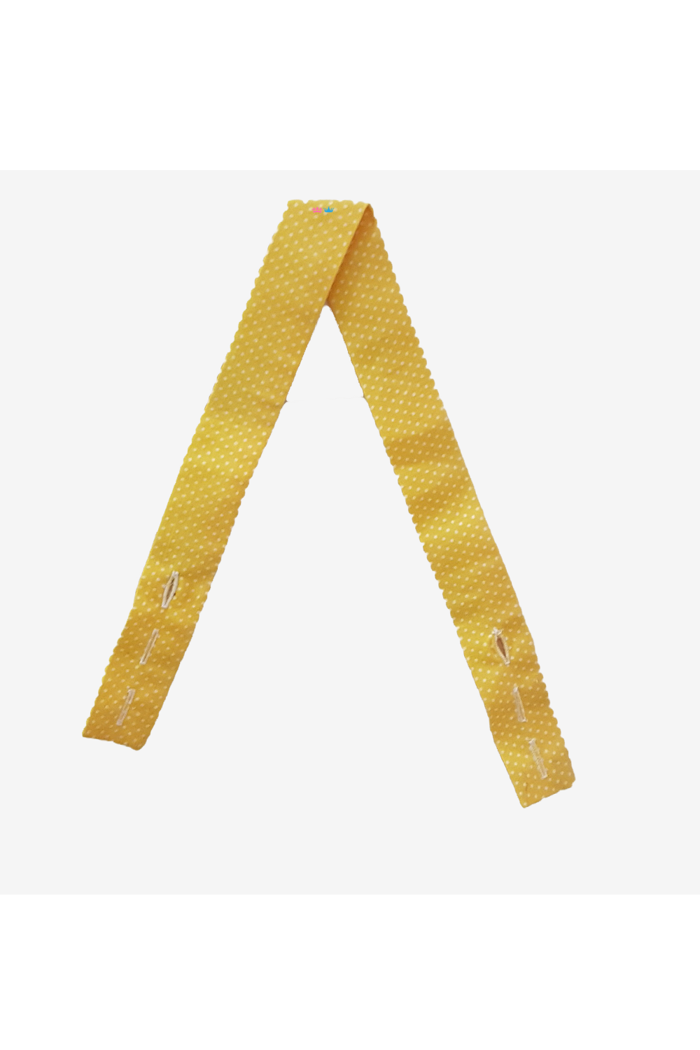 Paw petrol theme cake smash outfit