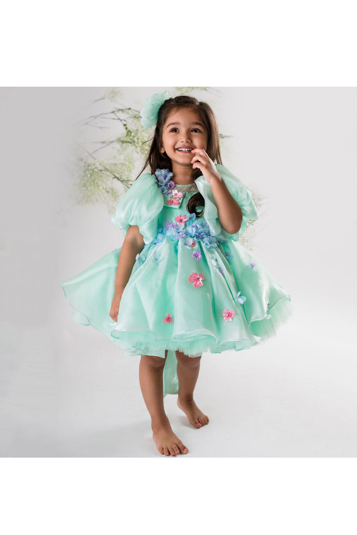 Sea Green Flower And Butterfly Embroidered Organza Dress