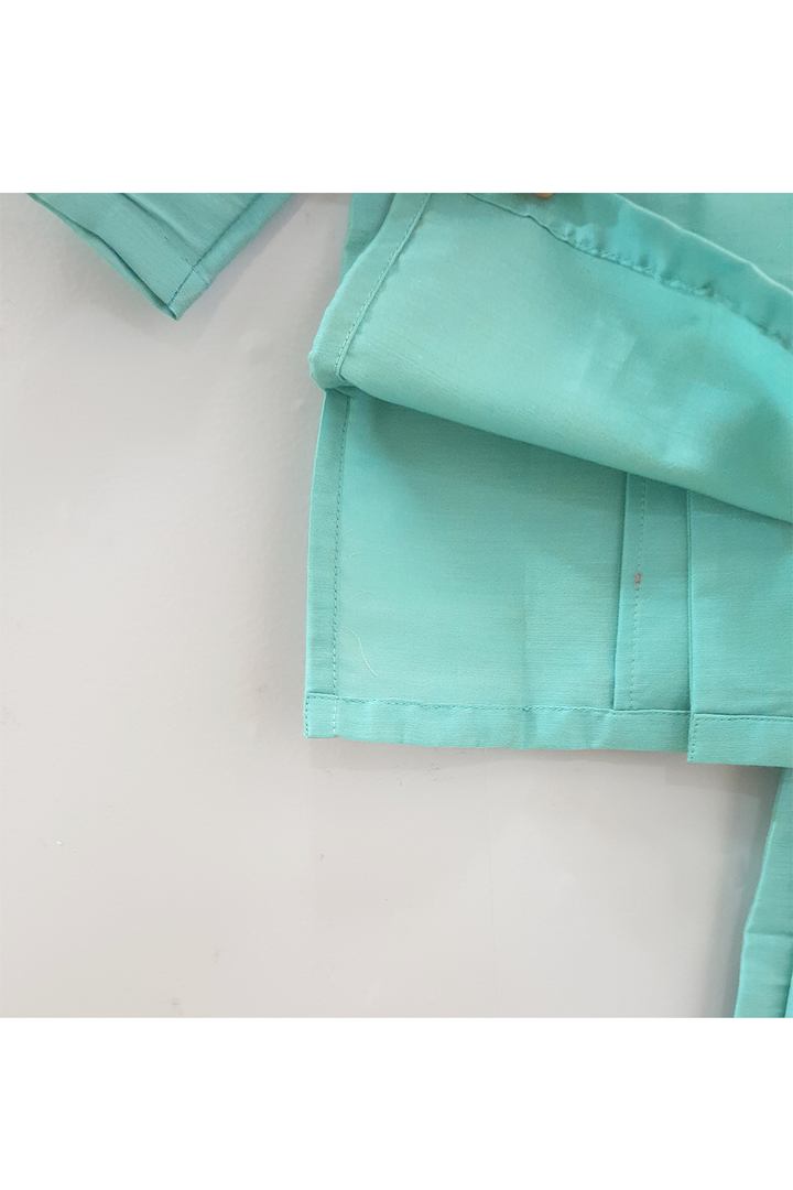 Sea green elephant printed crop top and frills pants