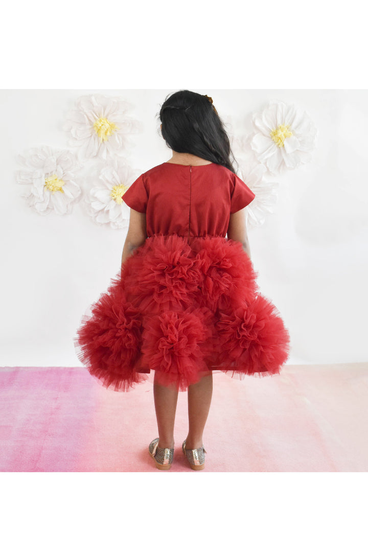 Maroon Flower Detailing Net Dress