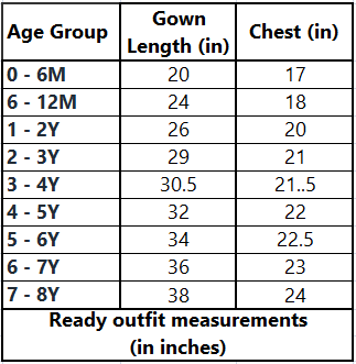 Elsa embroidered sky blue layered gown