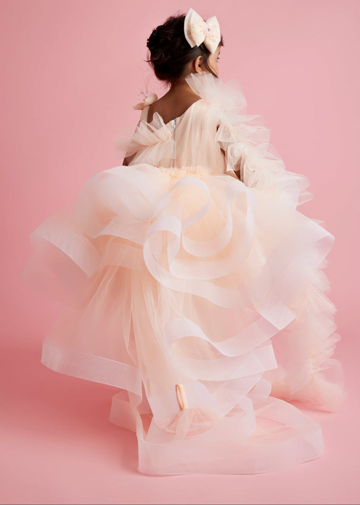 Peach Butterfly & Pearl Deatailing One shouder Ruffle Dress
