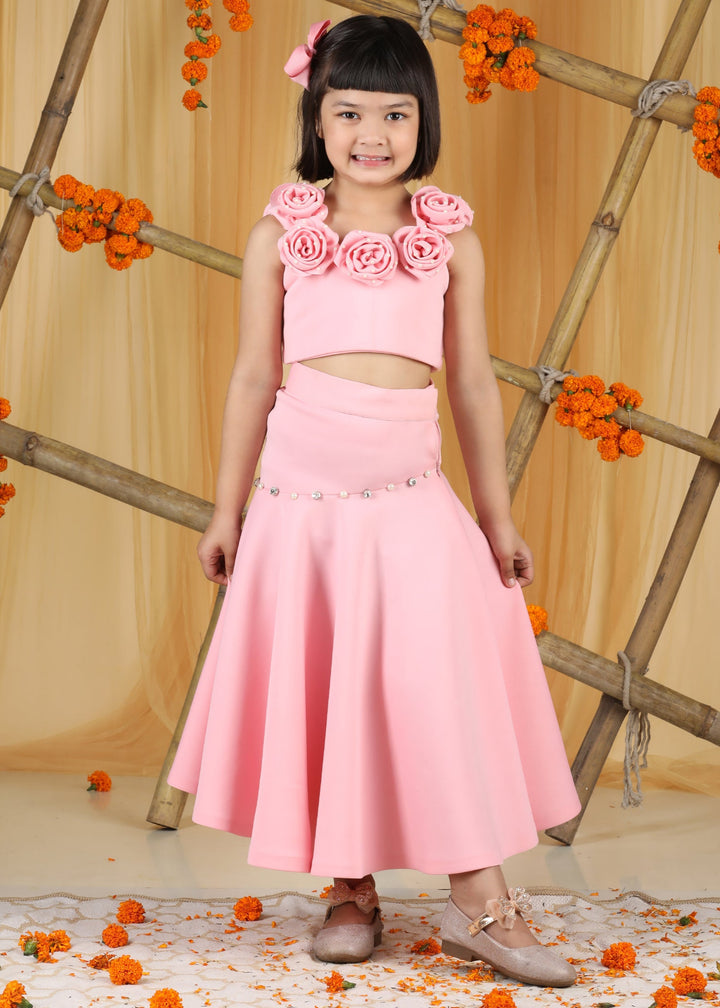 Pink Pearl 3D Flower Embellishment Top With Skirt Set