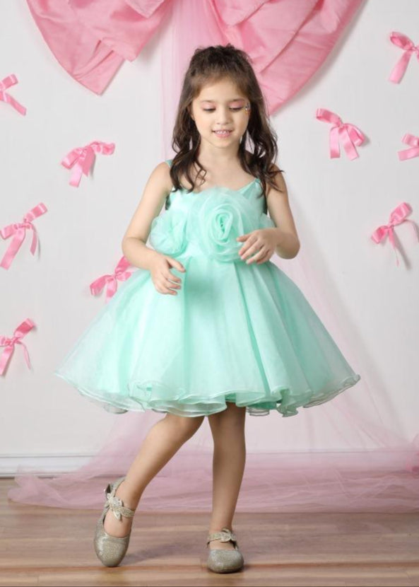 Green Net 3D Flower And Flare Crepe Dress