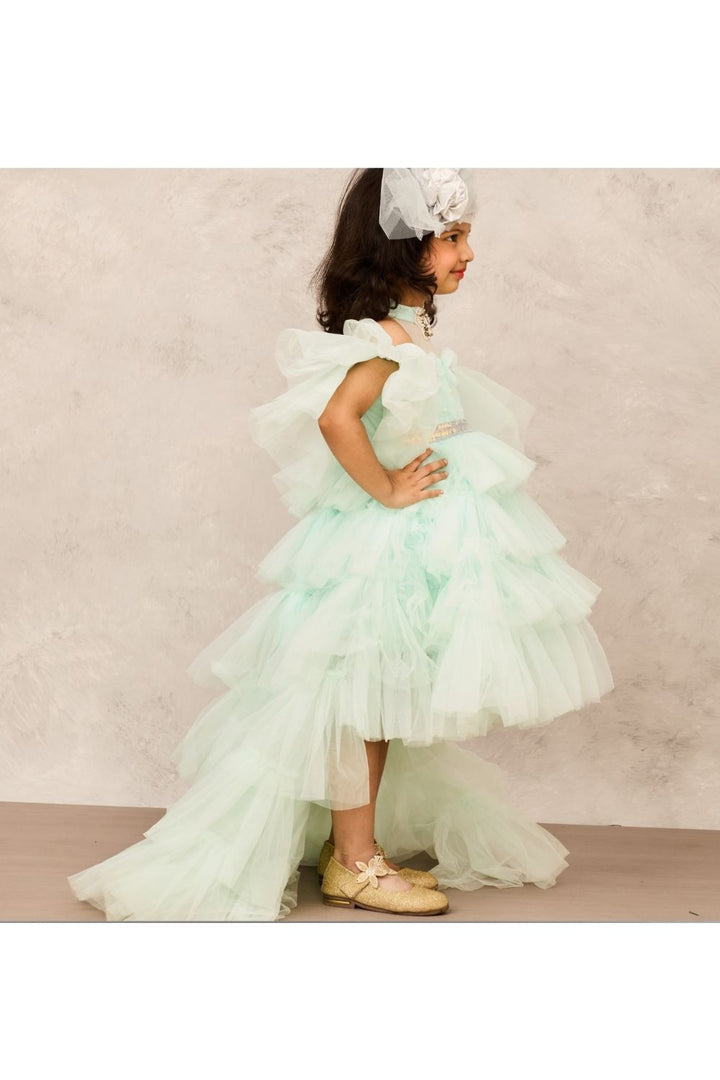 Aqua Blue With Butterfly Embellishment High Low Net Gown