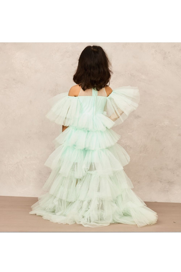 Aqua Blue With Butterfly Embellishment High Low Net Gown