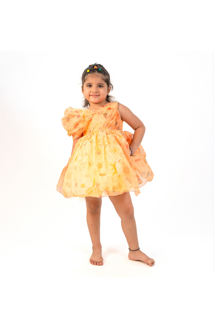 Yellow Organza Flowerish Style Sleevless Frock