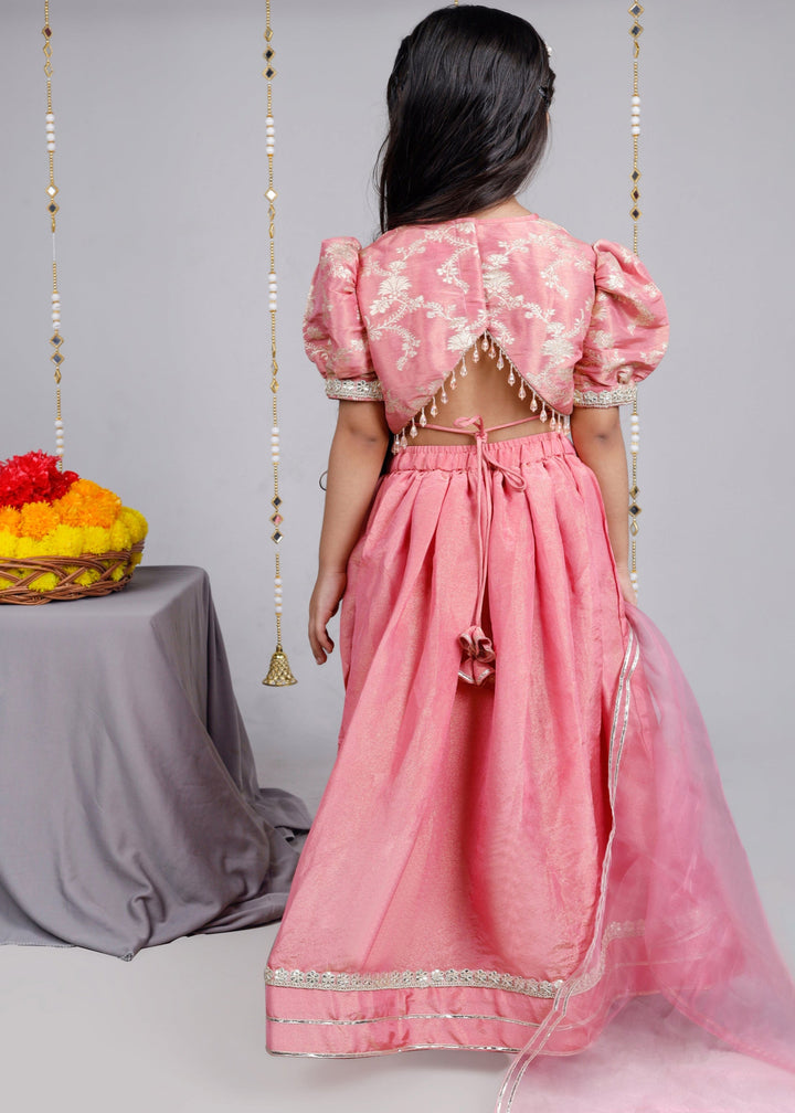 Dusty Pink Traditional Brocade tissue lehenga with dupatta Set
