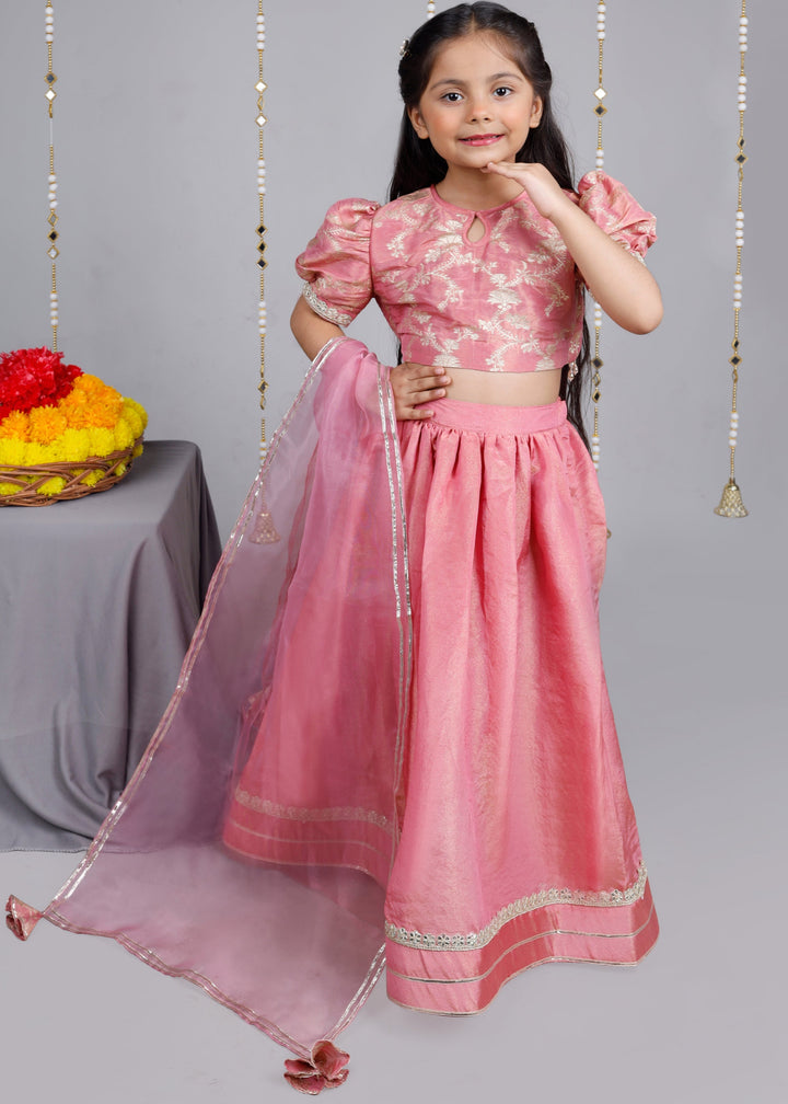 Dusty Pink Traditional Brocade tissue lehenga with dupatta Set