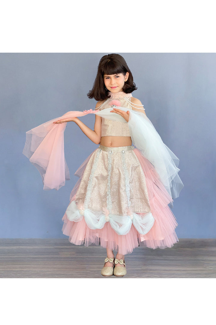 Pastel Pink And Green Pearl Detailing Halter Neck Top With Lehenga Set