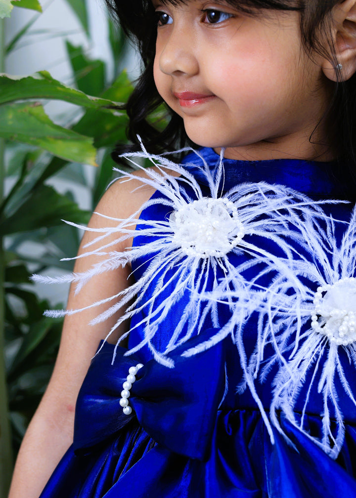 Blue Ostrich Feather Detailing High Low Dress