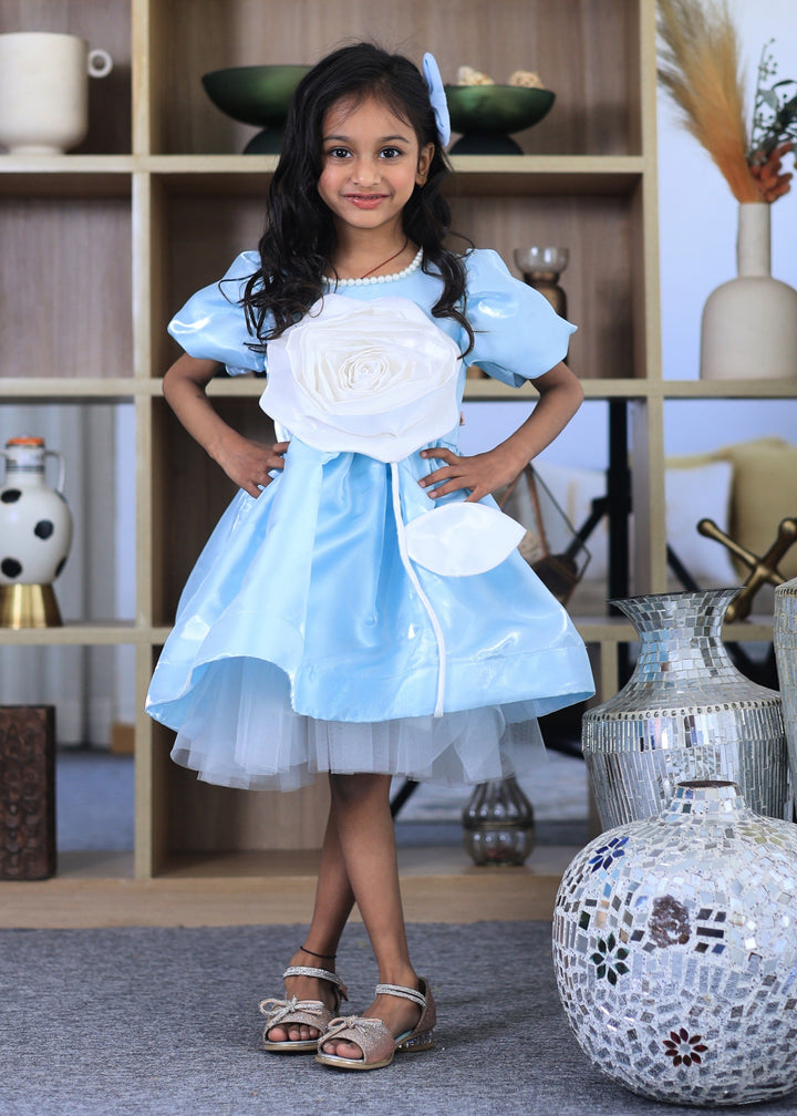 Powder Blue With White Rose Flower Pearl Dress