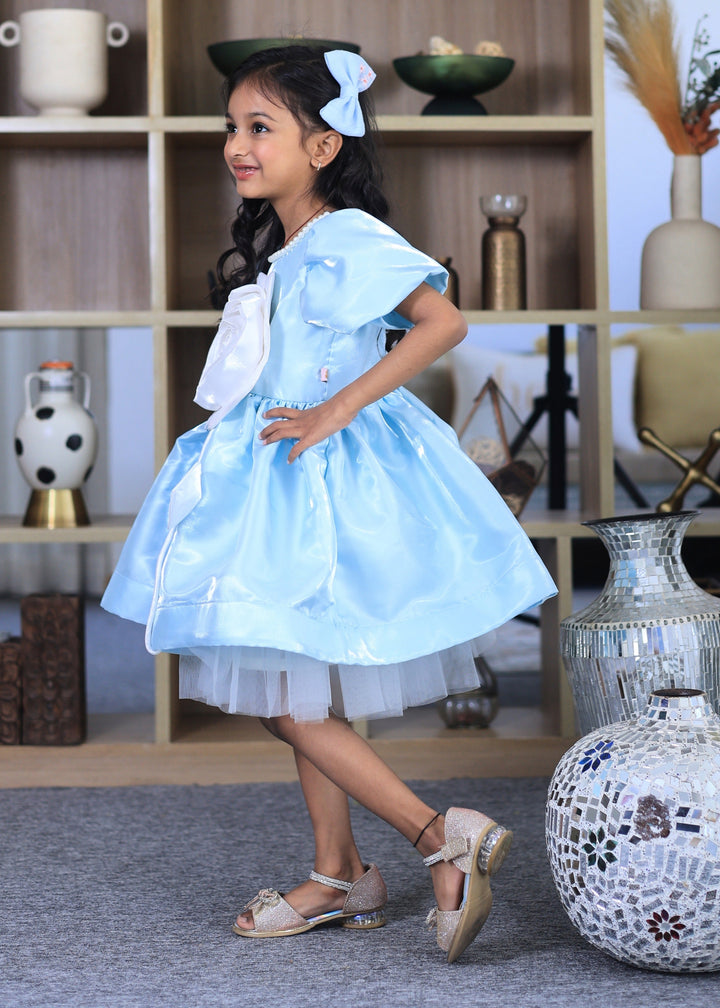 Powder Blue With White Rose Flower Pearl Dress