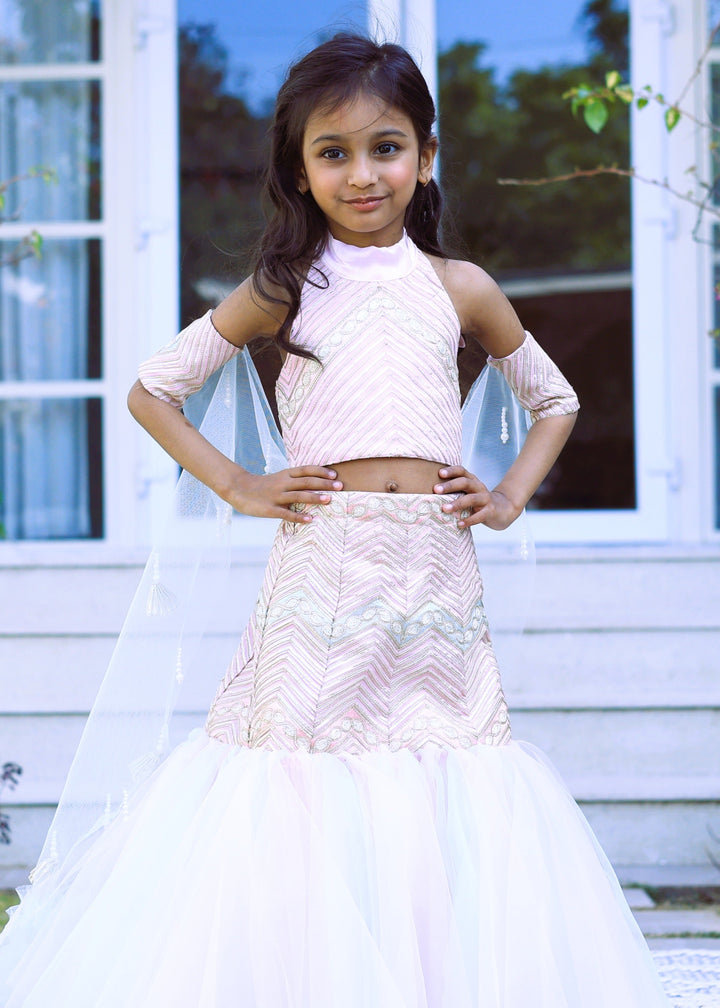 Pink Fish cut style Flared Lehenga With Top Set