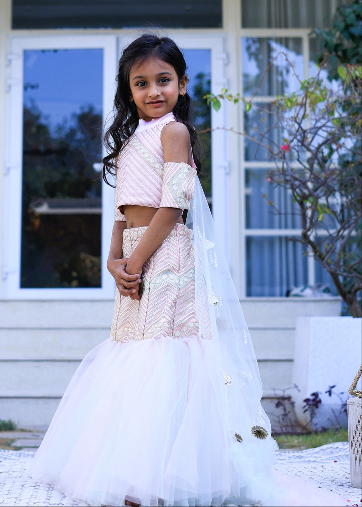 Pink Fish cut style Flared Lehenga With Top Set