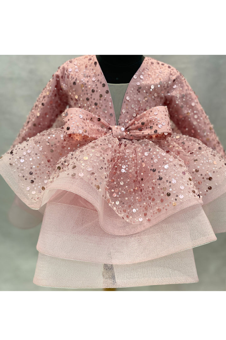 Blush Pink Sequined Net Dress