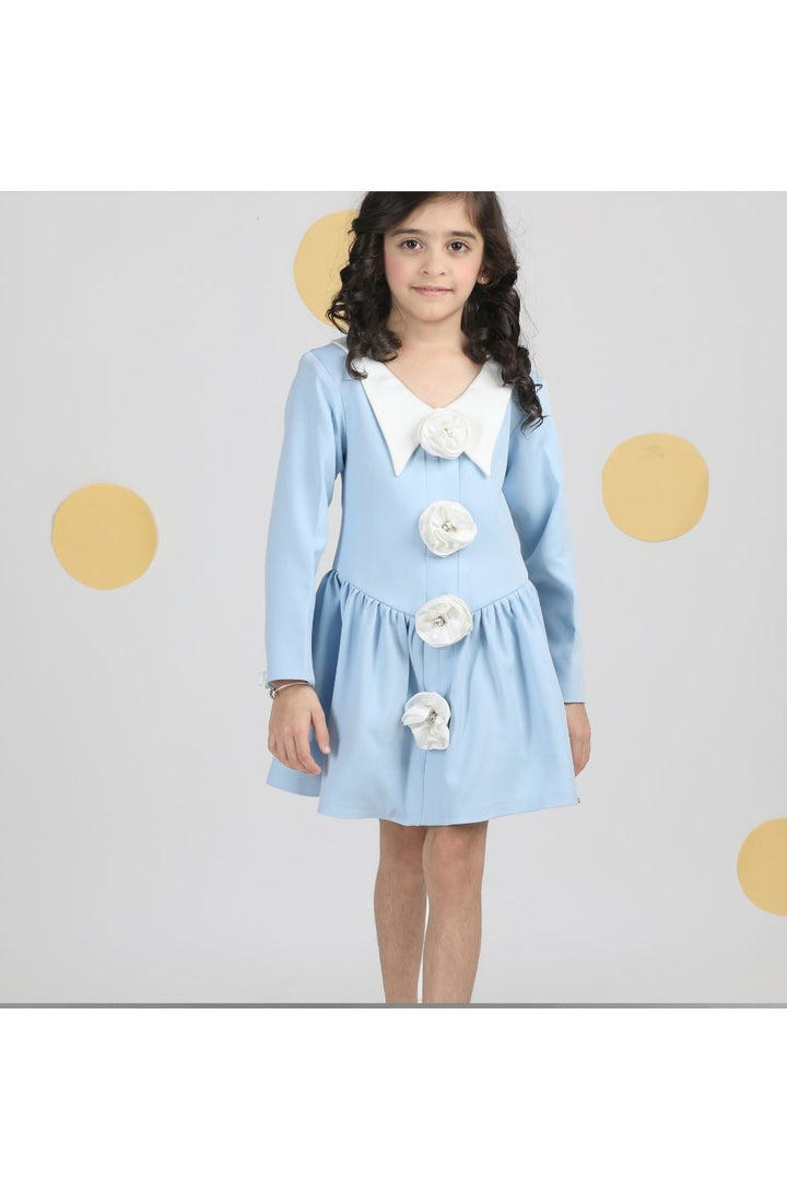 Ice Blue 3D Flower Hand Embroidery Dress