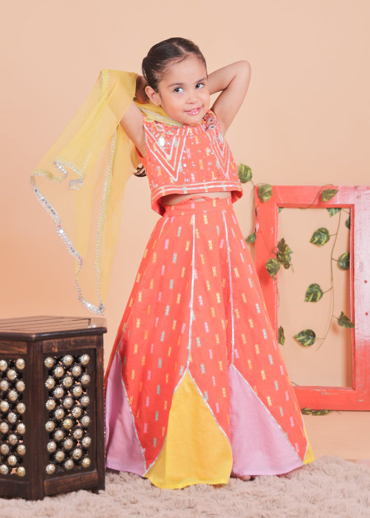 Multi-colored Embellished Choli With Blocked Lehenga Set