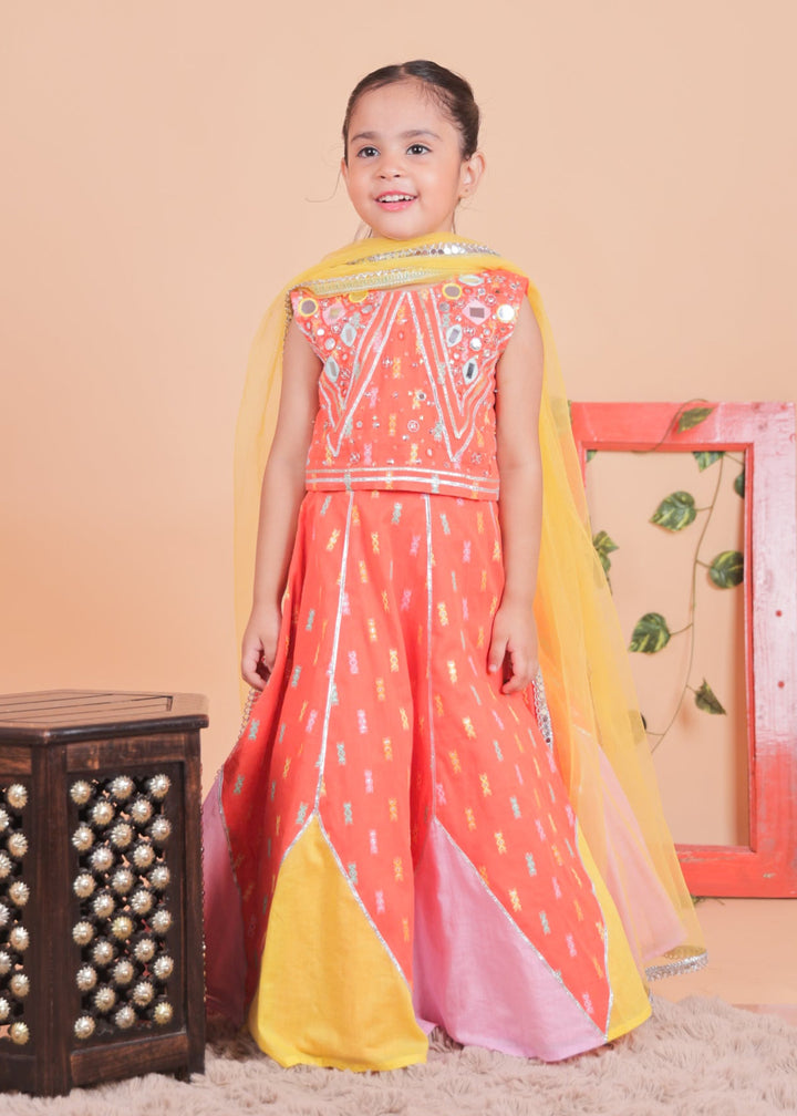 Multi-colored Embellished Choli With Blocked Lehenga Set