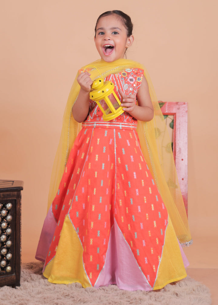 Multi-colored Embellished Choli With Blocked Lehenga Set