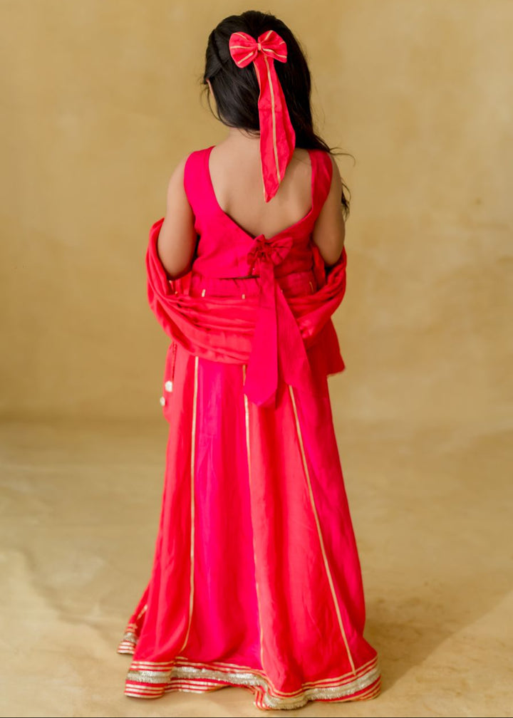 Pink Chakri Gota Patti Embroidery Top With Lehenga Set