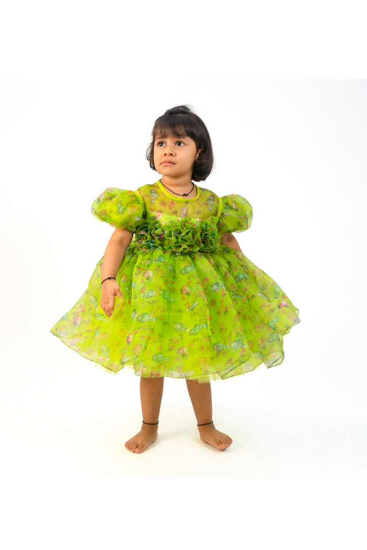 Green Bird Organza Printed Front Flowered Design Style Dress