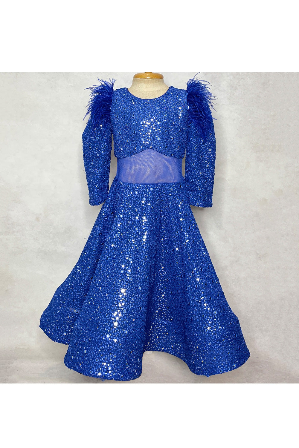 Royal Blue Mirror Embellished Gown With Feather Detailing