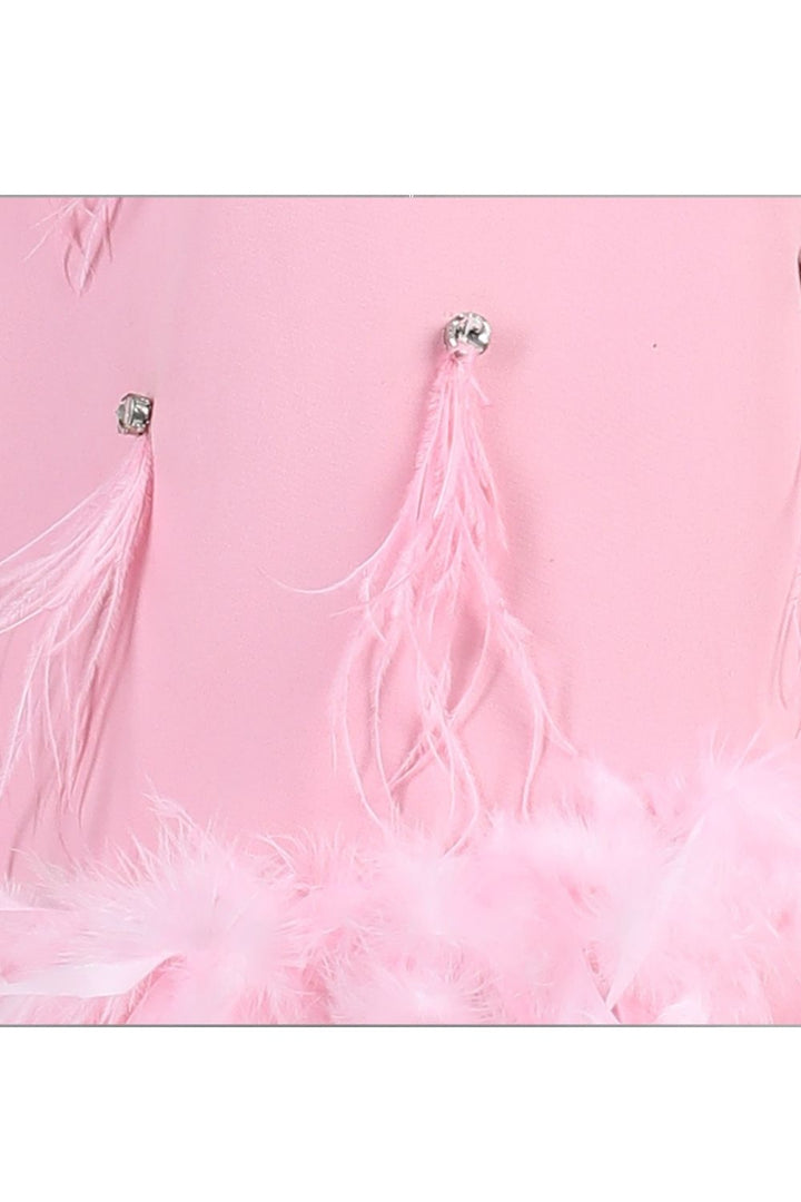 Pink Imported Crepe With Stone Detailing Fur Dress